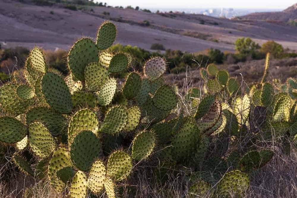 Keeping your excerpts alive