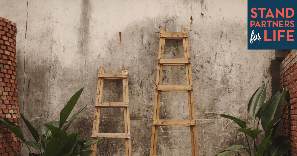 two ladders